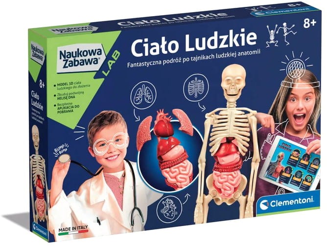 ciało ludzkie.jpeg