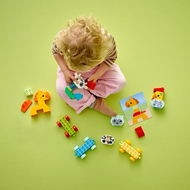 lego-duplo-klocki-zwierzatka-figurki-akcesoria-box.jpg