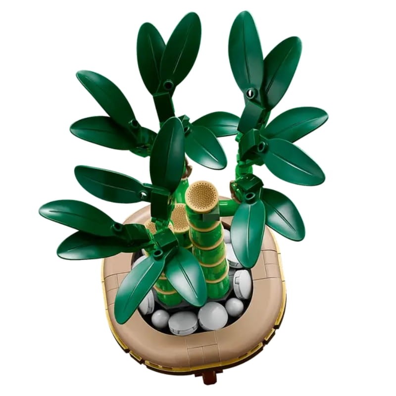 dracena-sandera-klocki-dodatki-akcesoria.jpg