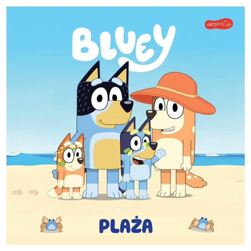 plaża-bluey-książeczka-zestaw-1.jpg
