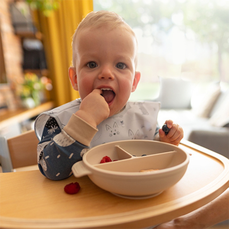babyono-Silikonowy-talerz-z-przyssawką-przykrywką-rozowy (15).jpg