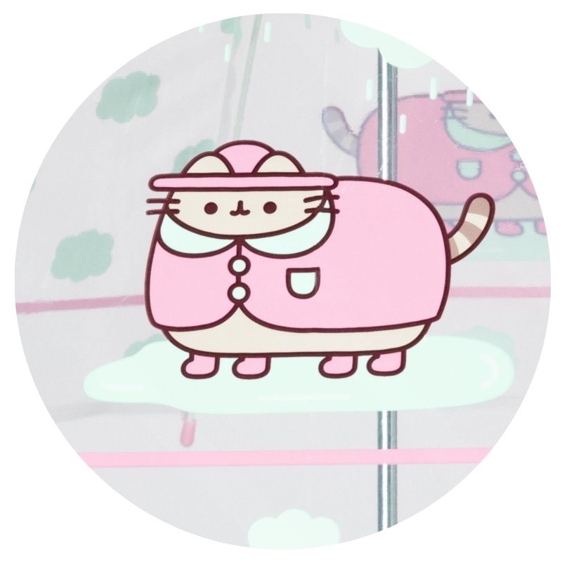 parasolka-pusheen (2).jpg