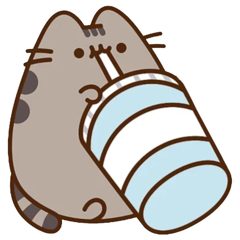 pudełko-pusheen (2).jpg