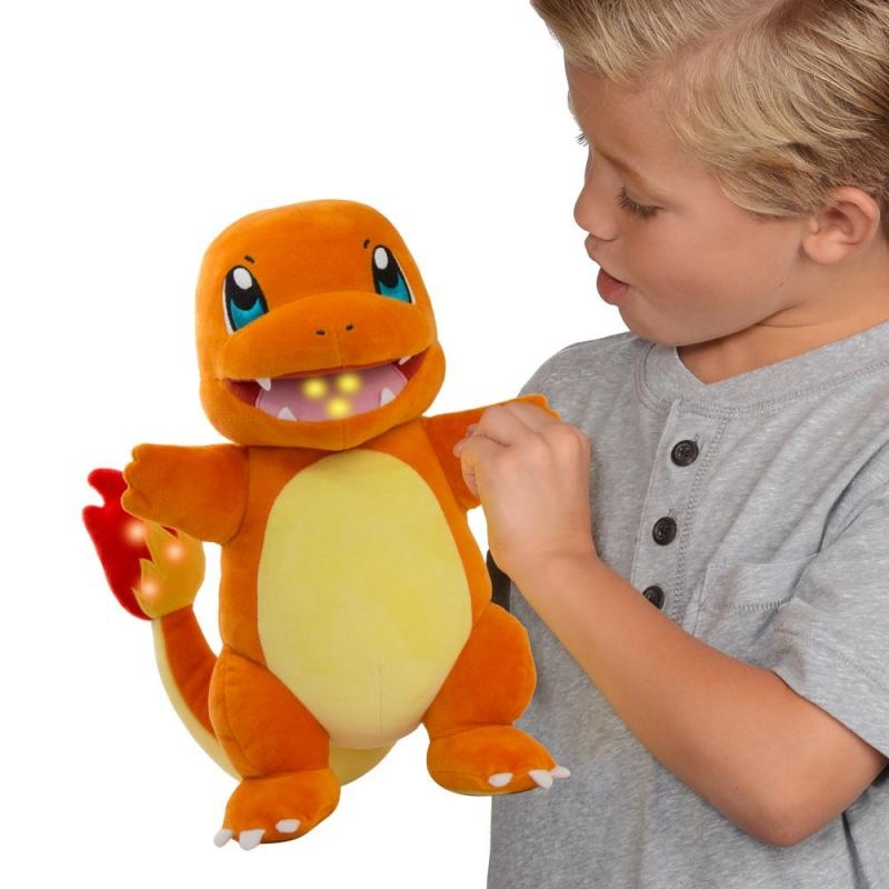 Pokemon Flame Action
