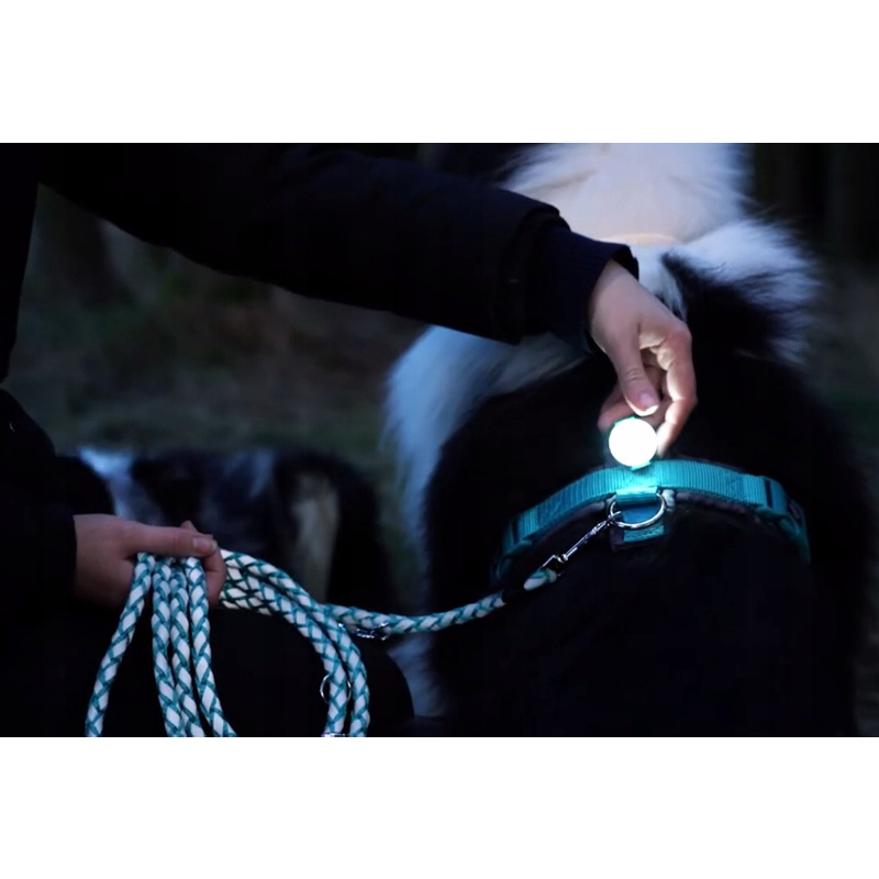 Trixie Flasher USB Zawieszka Świecąca Dla Psów Latarka Identyfikator
