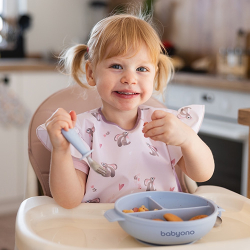 Babyono Silikonowy Talerzyk Dla Dzieci Talerz Z Przyssawką I Przykrywką