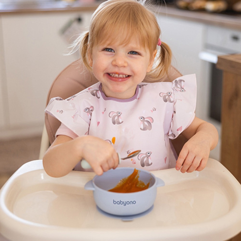 Babyono Silikonowa Miseczka Miska Dla Dzieci Z Przyssawką I Przykrywką