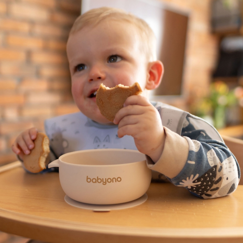 Babyono Silikonowa Miseczka Miska Dla Dzieci Z Przyssawką I Przykrywką